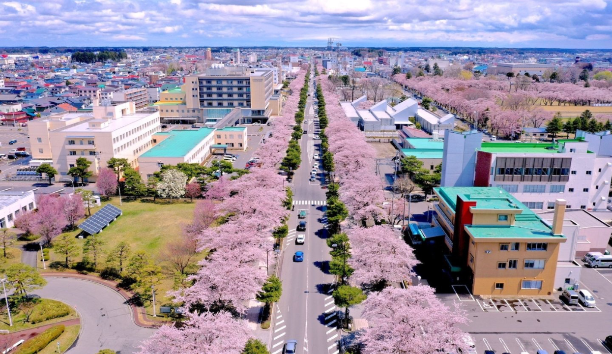 Spring festivals in japan