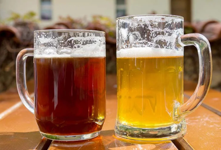 beer facts about ale and lager