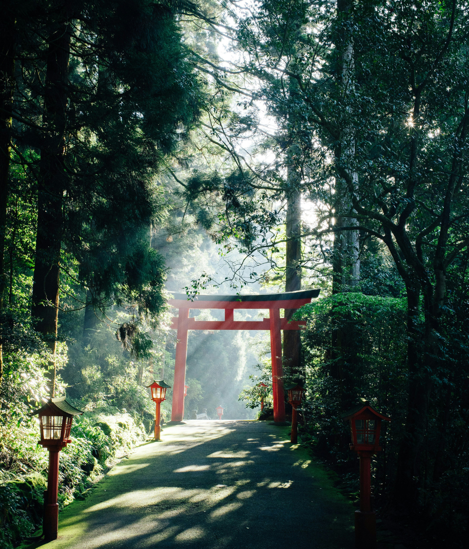 Travel to Japan this 2026