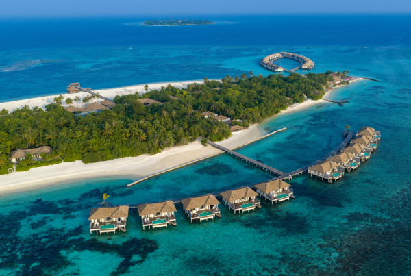 The Island-Wide Culinary Safari at Noku Maldives