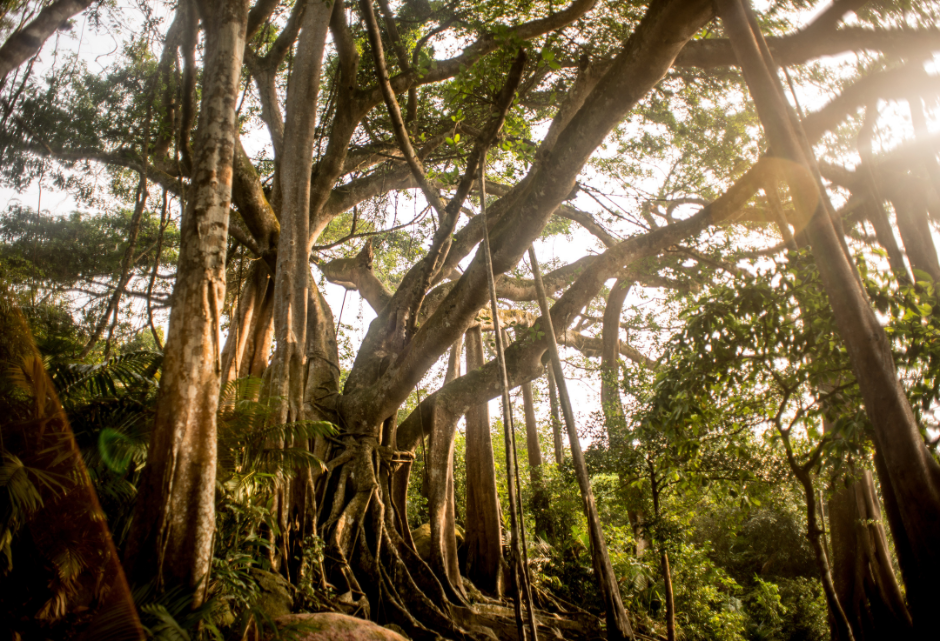 Intercontinental danang