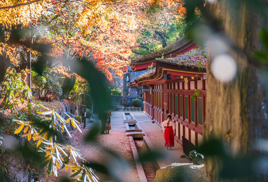 spring destinations: japan