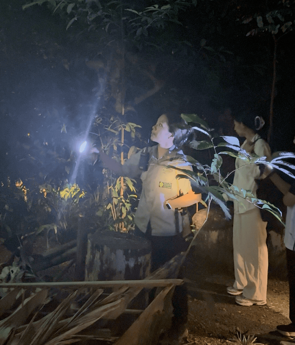 shangri-la rasa ria night walk